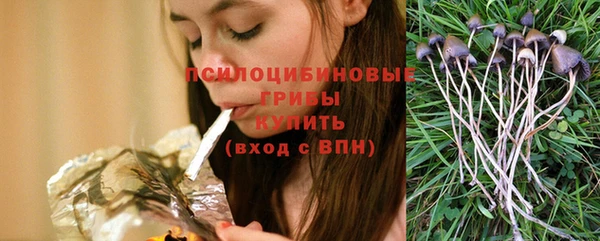 твердый Абинск