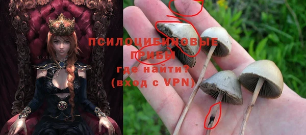 а пвп мука Абдулино