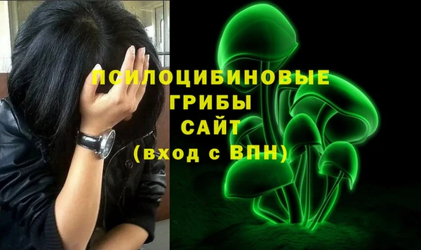 скорость Абаза