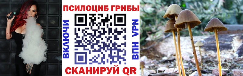 как найти закладки  Туран  Псилоцибиновые грибы мицелий 
